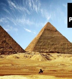 Cyrus Travel Agency | Plano